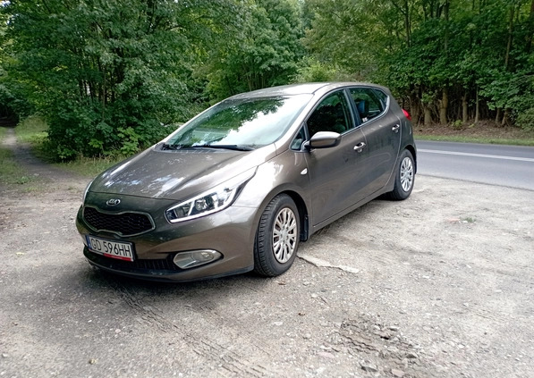 Kia Ceed cena 42000 przebieg: 120000, rok produkcji 2013 z Bydgoszcz małe 562